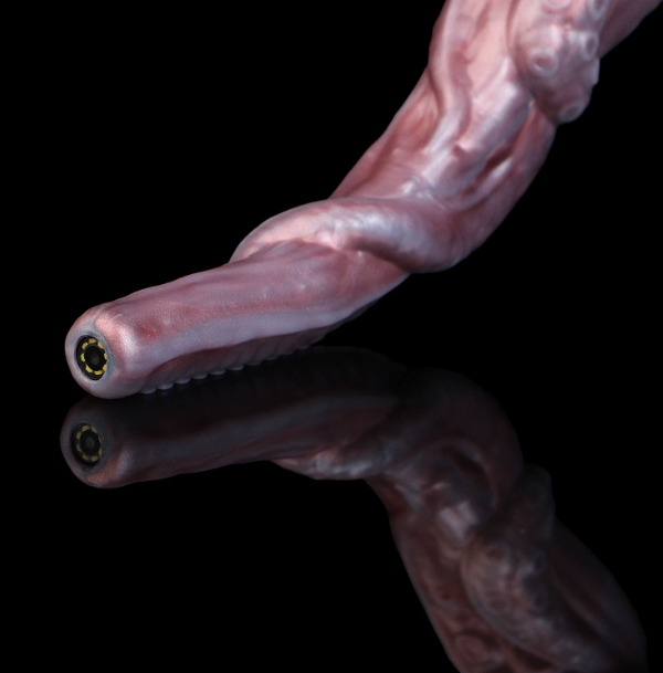 Anal Plug Tentacle Stimulator with Internal Viewing Feature